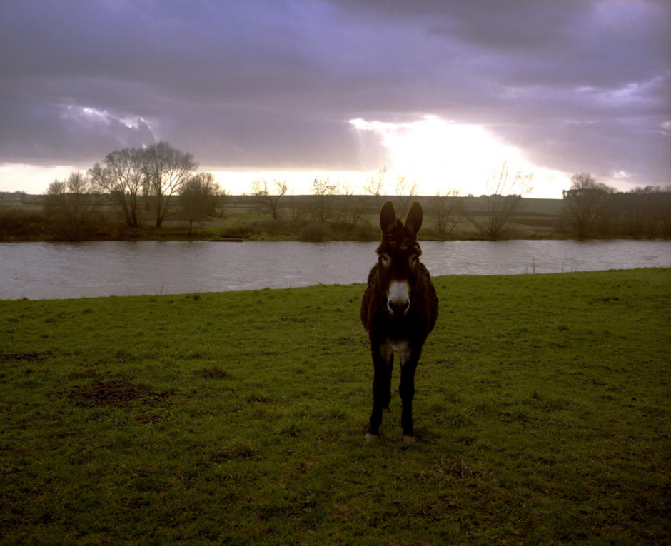 France, December 2007. Around Chinon.
