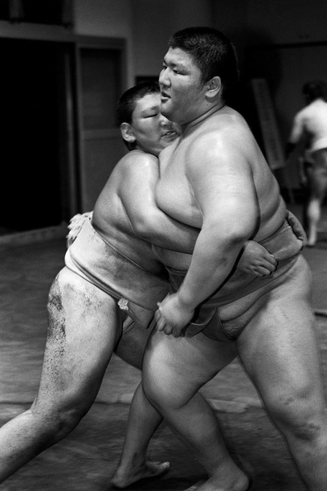 Japan, Tokyo, 13 August 2008
Young boys during training at the sumo club, Shonen Sumo Tachikawa Rensei Kan, inside the grounds of Suwa Jinja (Shrine).

Japon, Tokyo, 13 Ao˚t 2008
De jeunes garÁons pendant un entraÓnement au club Sumo de Shonen Sumo Tachikawa Rensei Kan.


Steven Siewert / Agence VU