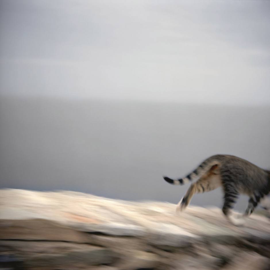 Greece, Cyclades, 2007 - "Of sand and wind" Serifnos island, Sifnos island, and Milos island.