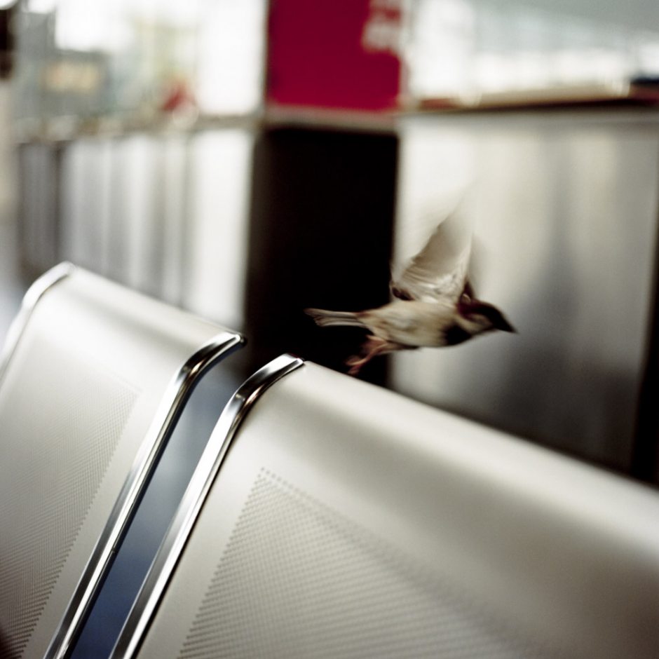 France, Paris, 2009 - Roissy Airport, Low cost terminal.