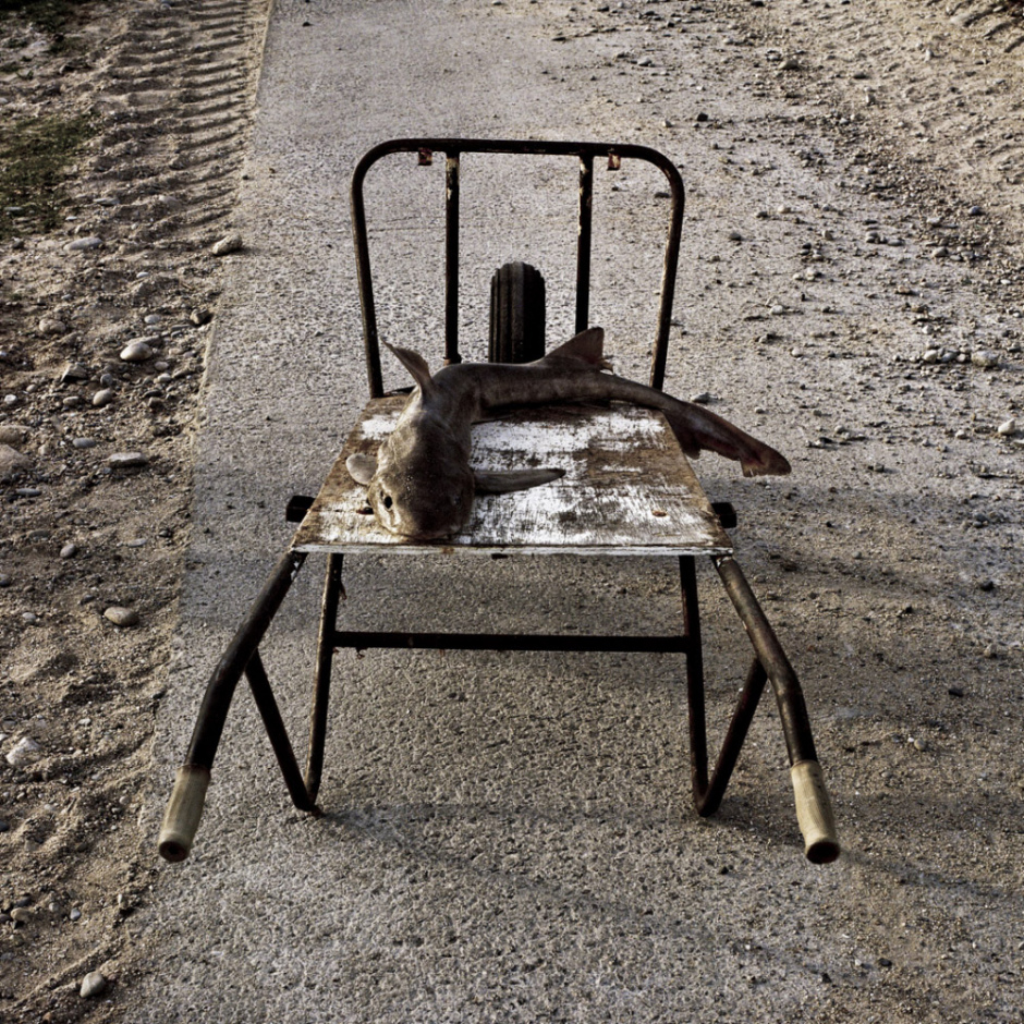 France, Bretagne, Ile de Sein, 2011