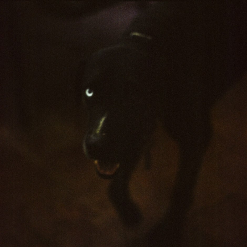 Ile de la Reunion, 2011