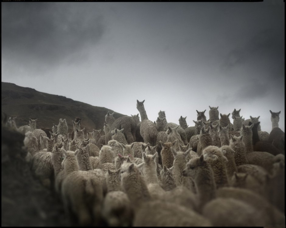 Peru,  2009 From the book "Peru" of Martin Chambi and Juan Manuel Castro Prieto. Towards Ayaviri.