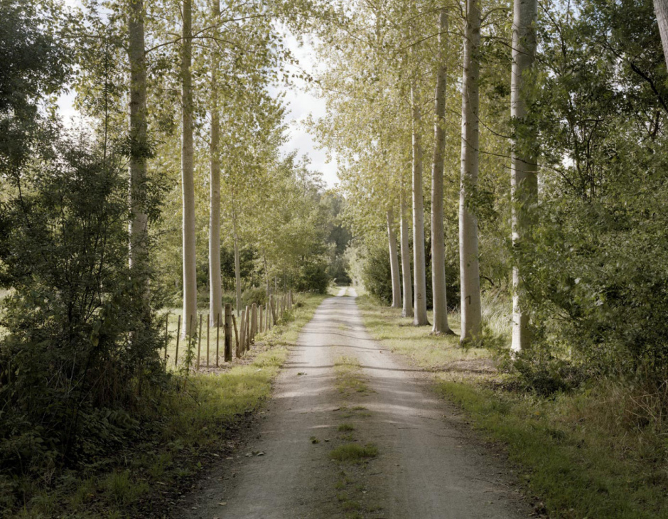 France,  ArÁais, Deux-Sèvres, August 2008 - Le Marais Babineau.