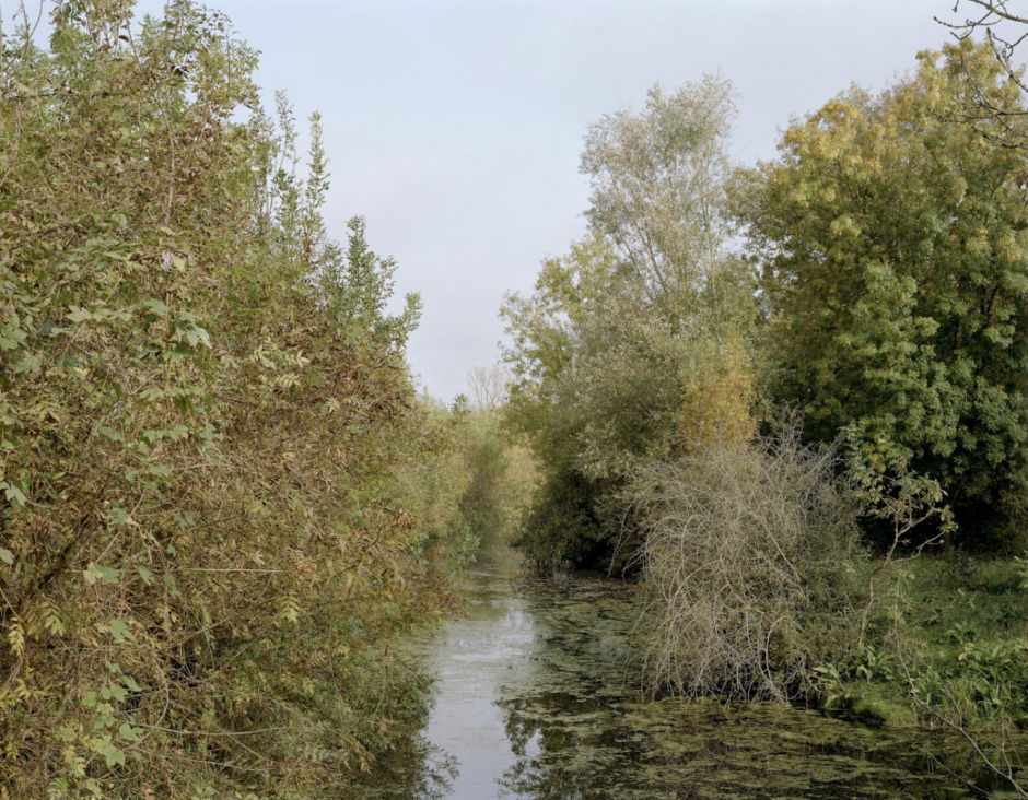 France, St Pierre le Vieux, Vendée, October 2008 - Le Grand Marais.
