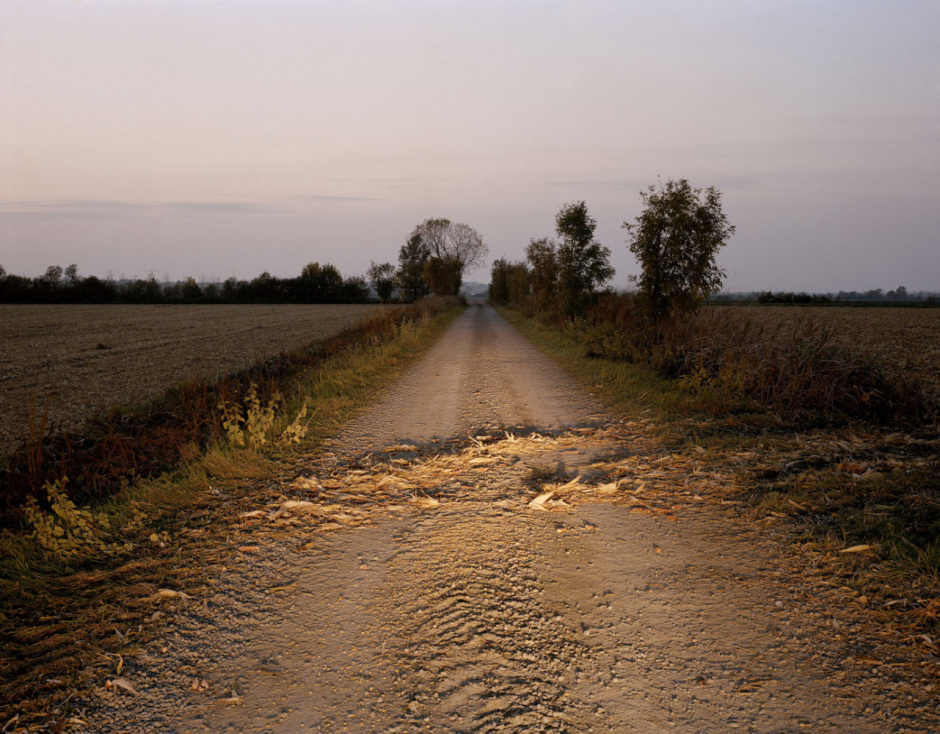 France, Vix, VendÈe, October 2008 - Corn on the road of Pont de bois.