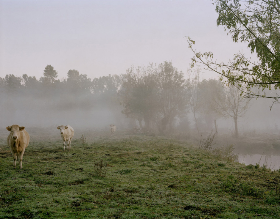 France, Vix, VendÈe, October 2008 - Les melons de Vix.