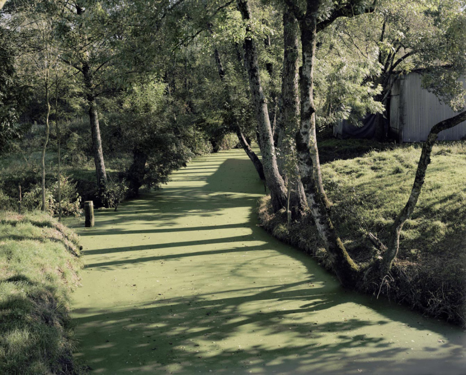 France, Le Coudreau, Vendée, October 2008 - Conche d'Angle Petit.