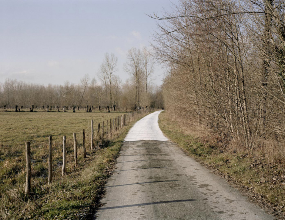 France, ArÁais, Deux-Sèvres, january 2009 - Le Marais Babineau.