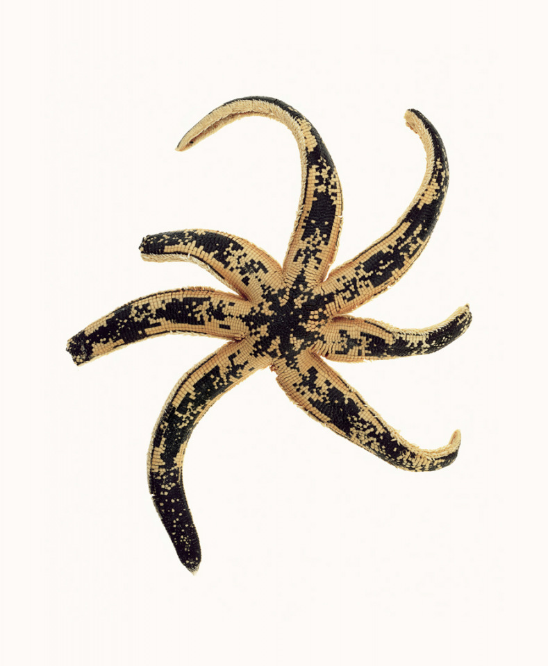 Australia, Adelaide, 2009From the series 'The Summer of Us'.Southern Sand Star.Australie, Adelaide, 2009Issu de la sÈrie "The Summer of Us".Etoile Sable du Sud.© Narelle Autio / Agence VU