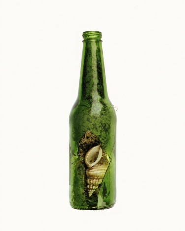 Australia, Adelaide, 2009From the series 'The Summer of Us'.Green Bottle and Shell.Australie, Adelaide, 2009Issu de la sÈrie "The Summer of Us".Bouteille verte et coquillages.© Narelle Autio / Agence VU