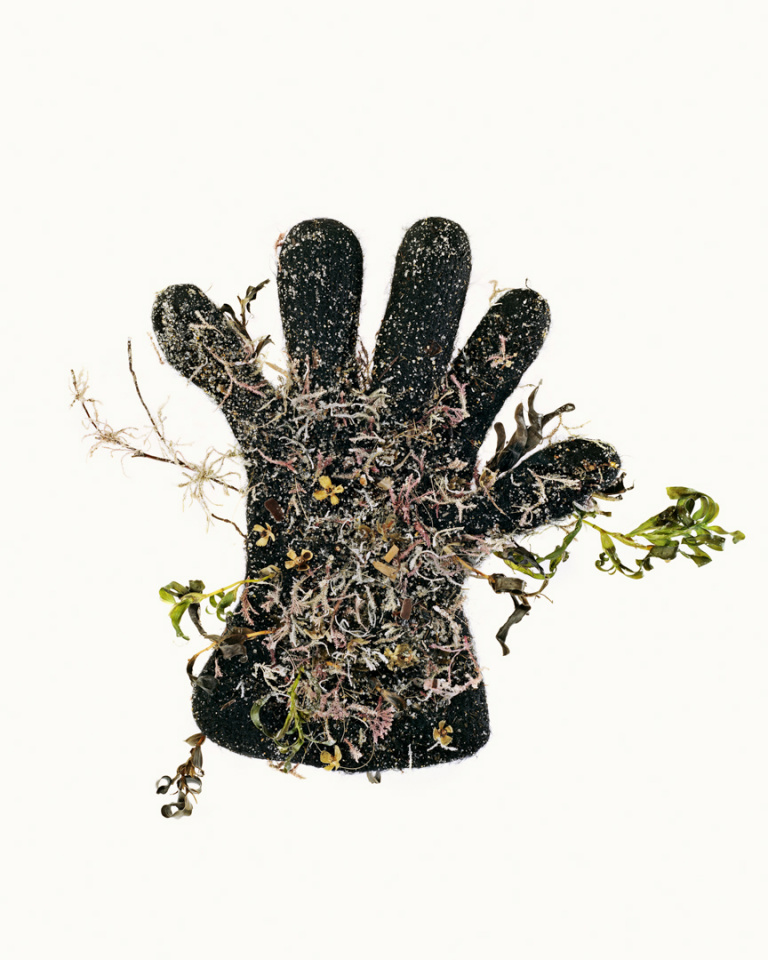 Australia, Adelaide, 2009From the series 'The Summer of Us'.Small Black Glove.Australie, Adelaide, 2009Issu de la sÈrie "The Summer of Us".Petits gants noirs.© Narelle Autio / Agence VU