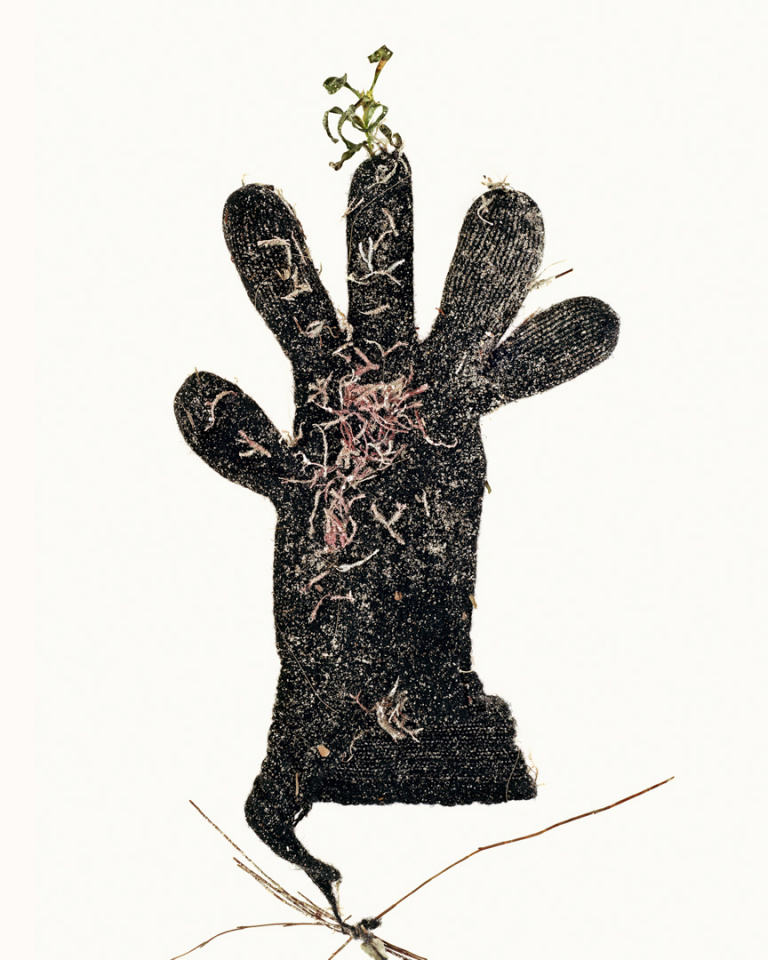 Australia, Adelaide, 2009From the series 'The Summer of Us'.Large Black Glove.Australie, Adelaide, 2009Issu de la sÈrie "The Summer of Us".Grands gants noirs.© Narelle Autio / Agence VU