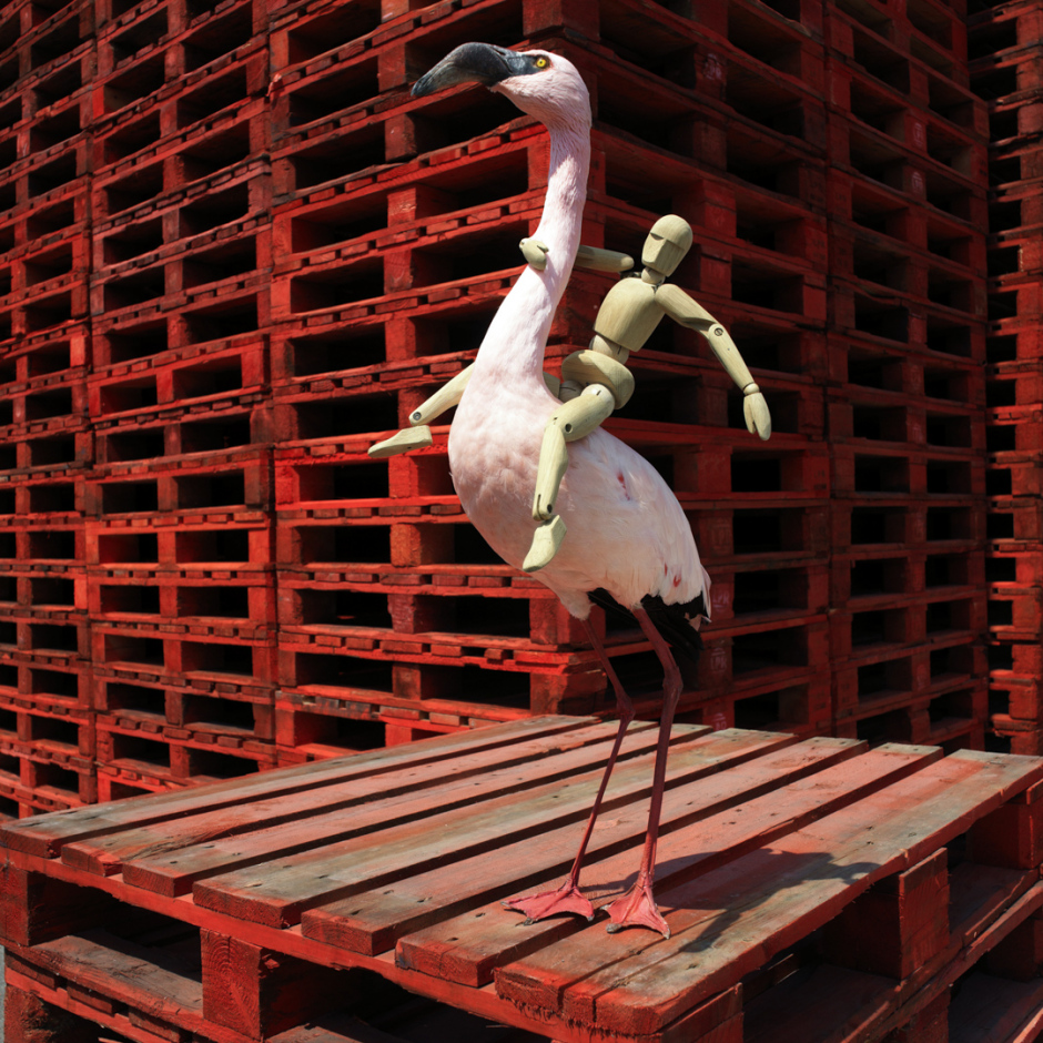 Ludwig PalletsLudwig Palettes© Quentin Bertoux / Agence VU