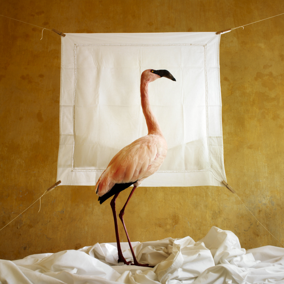 Ludwig Othello© Quentin Bertoux / Agence VU