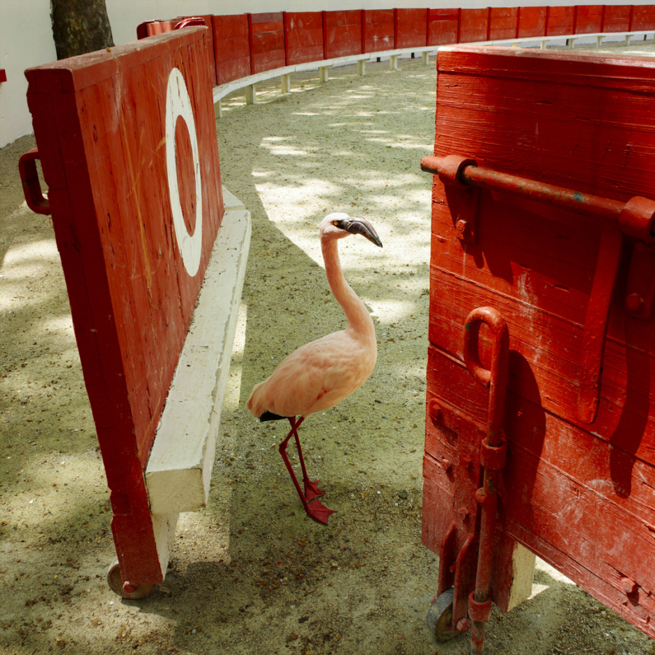 Ludwig at the arenaLudwig aux arËnes© Quentin Bertoux / Agence VU