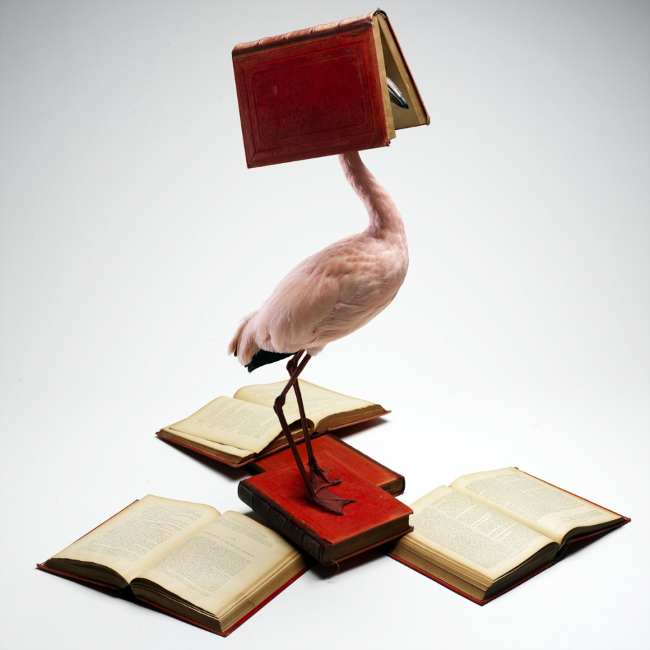 Ludwig is working too muchLudwig travaille trop© Quentin Bertoux / Agence VU