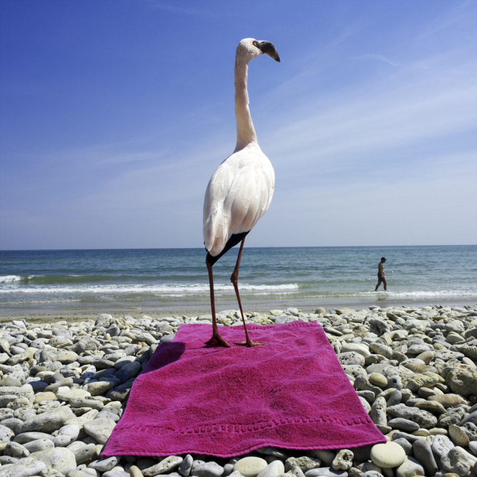 Ludwig at the beachLudwig ‡ la plage© Quentin Bertoux / Agence VU