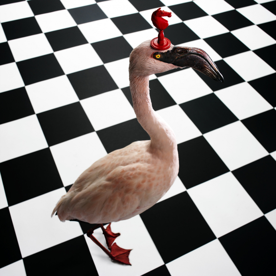 Ludwig with the red horseLudwig au cheval rouge© Quentin Bertoux / Agence VU