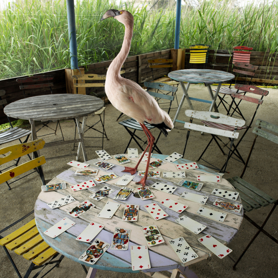 Ludwig fortune tellerLudwig cartomancien© Quentin Bertoux / Agence VU