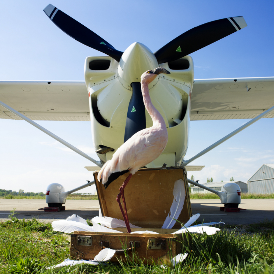 Ludwig is travelling by planeLudwig prend l'avion© Quentin Bertoux / Agence VU
