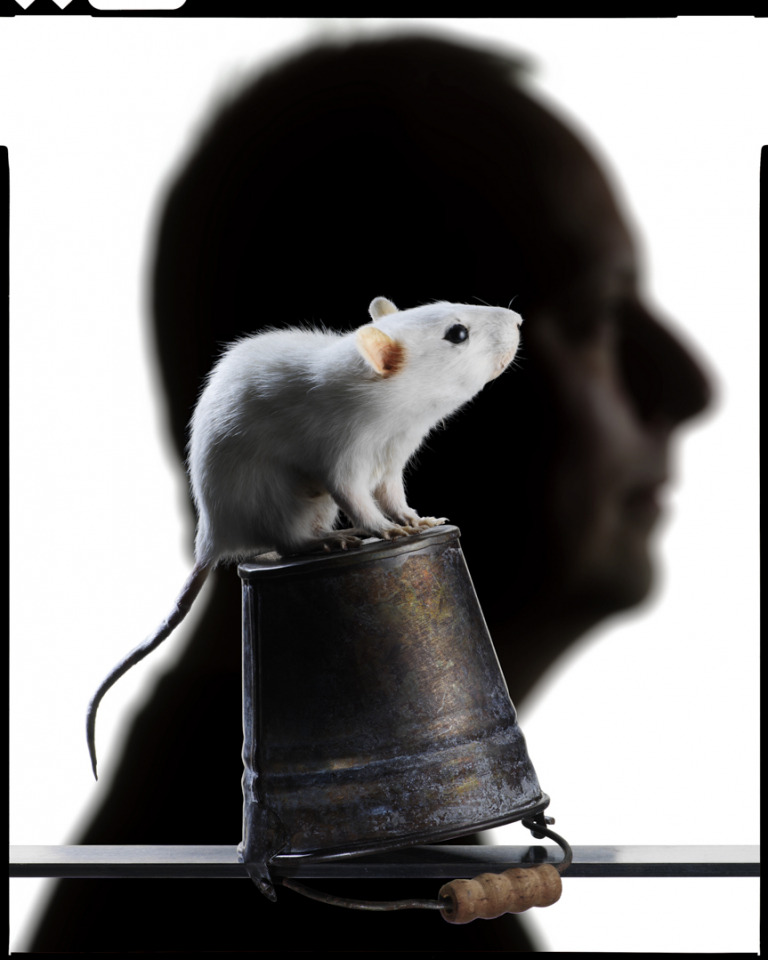 Thinking headsFigures pensantes© Quentin Bertoux / Agence VU