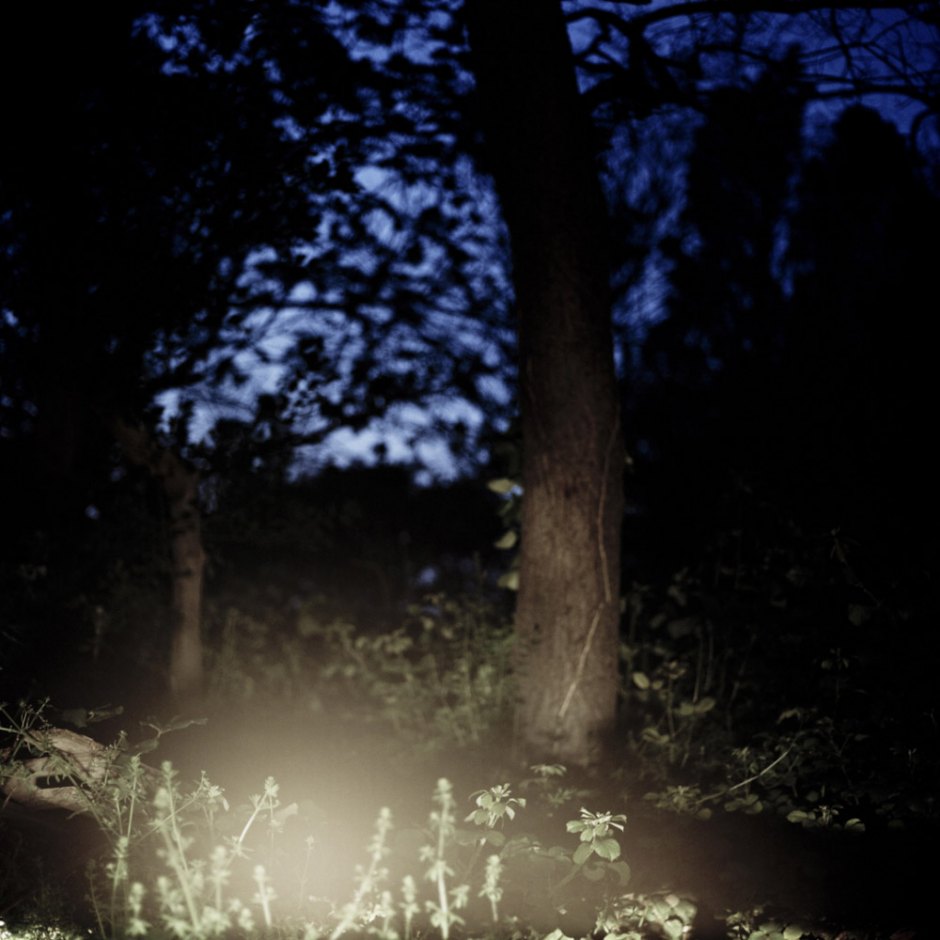 France, Camargue, April 2009