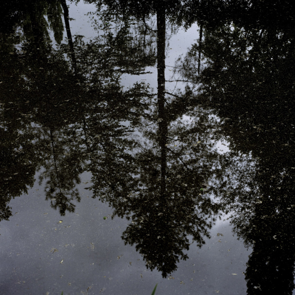 France, Sarthe,  may 2009