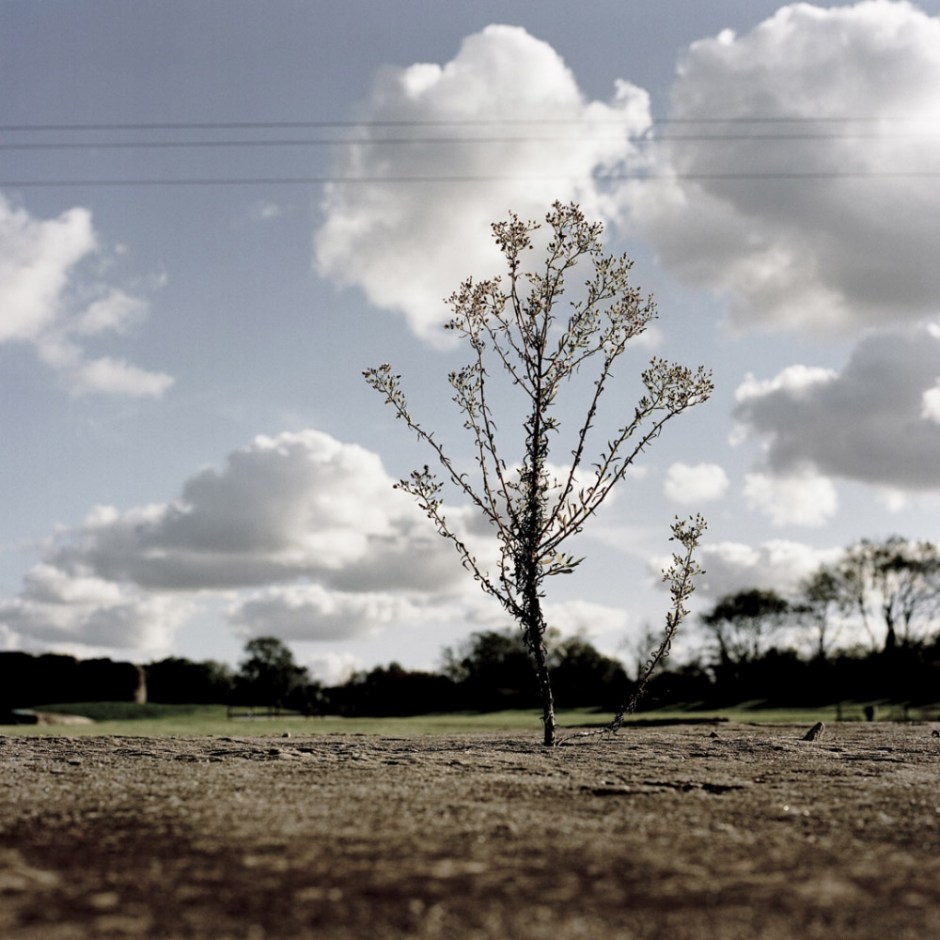France, Normandy,  October 2010