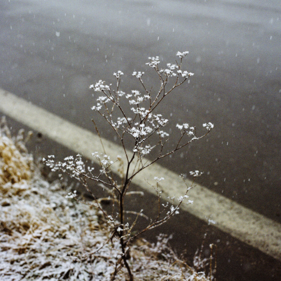 France, Moselle, January 2010
