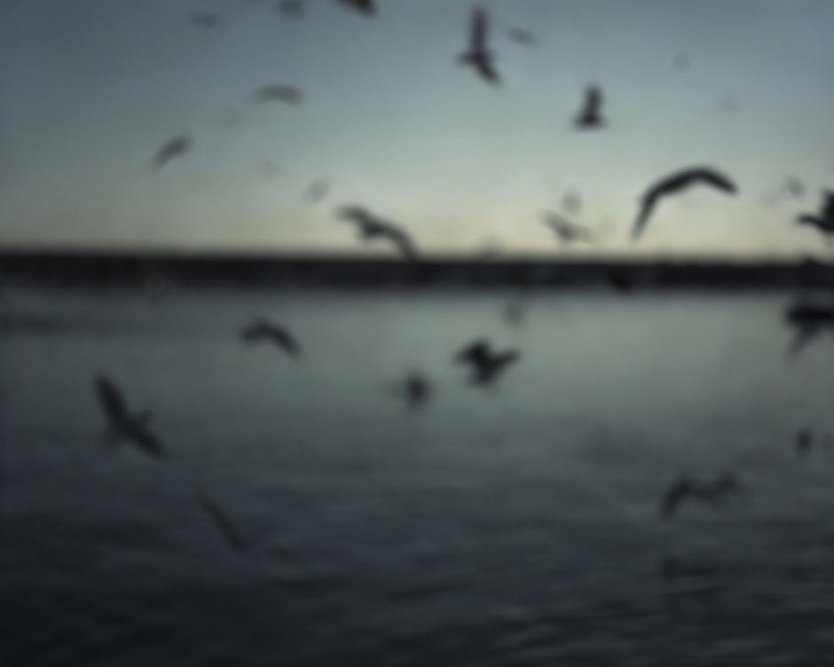 France, Sète, September - November 2010. Saint-Louis pier.