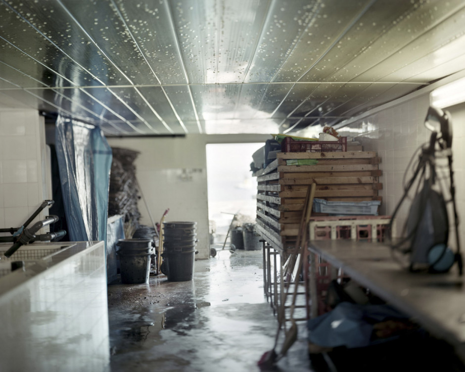 France, Sète, September - November 2010. Warehouse of a sellfish farmer.