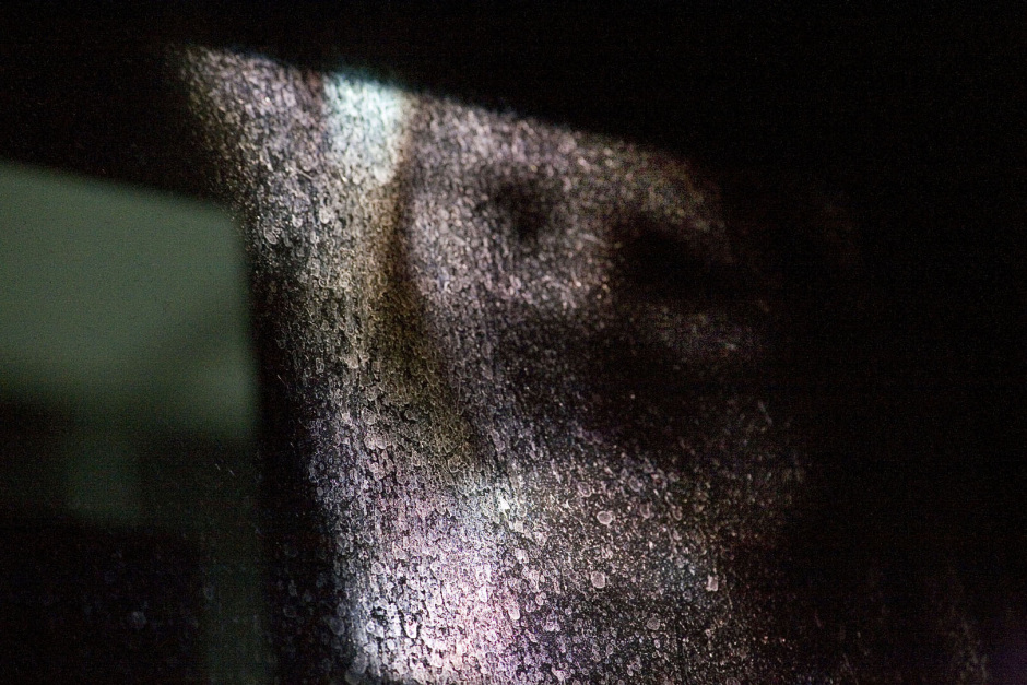 USA, New York, 2005-2006From the series "Stardust".USA, New York, 2005-2006Issue de la sÈrie "Stardust".Jean-Christian Bourcart / Agence VU