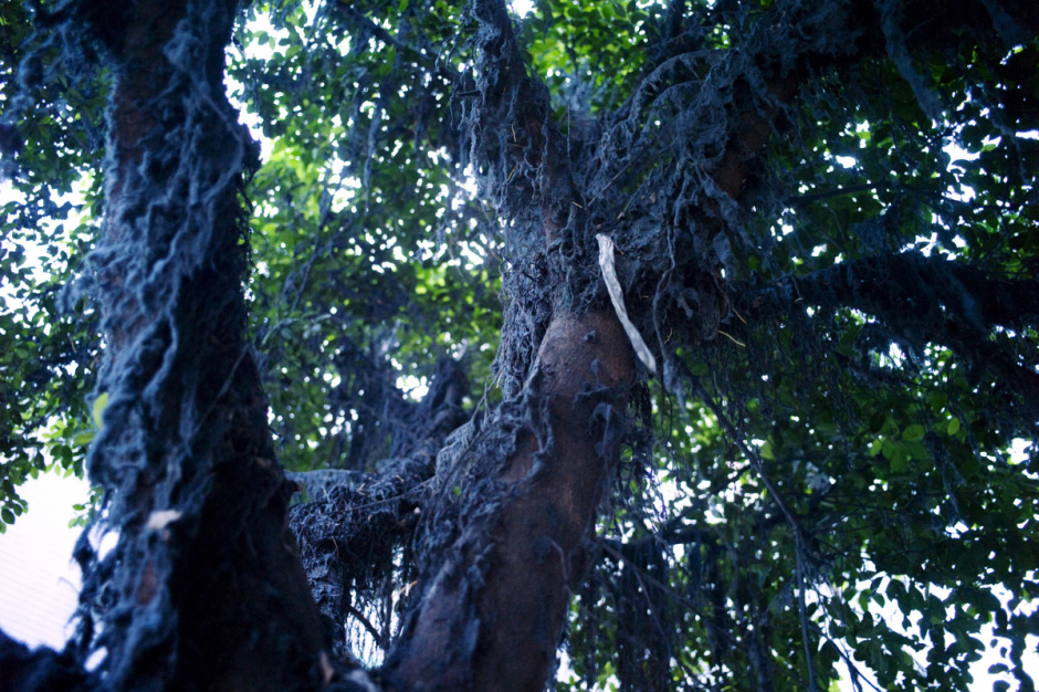 China, Xintang, May 2011 - In the big industrial estate of Xi Zhou, the cleaning factories are numerous. The partial filtering of waste awater does not eliminate everything, and the very polluting discharges of heavy metals have been proved: manganese, cadmium (up to 128 times the authorized dose), mercury, chromium, lead... When we pretend to be costumers worried about antipollution standards respect, the answer is plain: "We could respect them, but it would be more expensive. We can make other arrangements." All of Xi Zhou is bathed in a bluish vapour. 200 000 of the 700 000 inhabitants of Xingtang are migrant workers, the mingongs. Easily exploitable, they form the "first line", the one that gets through the hardest works and the most dangerous for health.
