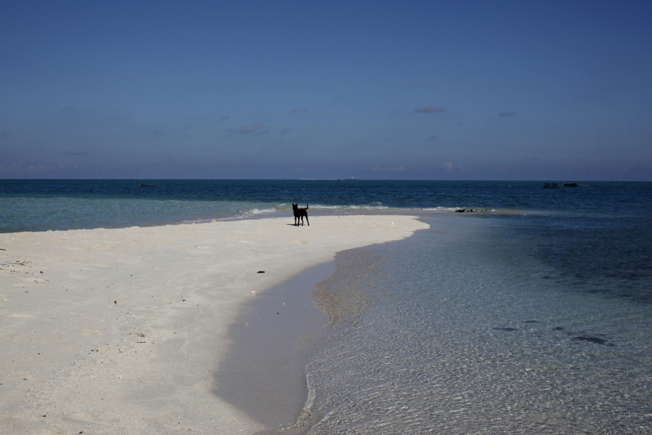 China, Paracel Islands, 05 June 2011Xisha Qundao is located in the South China Sea from more than 180 nautical miles to the South East of Hainan Island, belong to the Hainan Province.The East side of Paracel Islands is Xuande Islands, mainly include Yongxin Island, Shi island, Zhao island, etc.Chine, Œles Paracels, 05 juin 2011Xisha Qundao est situÈ en Mer de Chine du Sud, ‡ 180 miles nautiques du sud-est de l'Óle de Hainan.La partie orientale des Œles Paracels, appelÈ Óles Xuande, est formÈe des Óles Yongxin, Shi et Zhao.Aniu / Agence VU