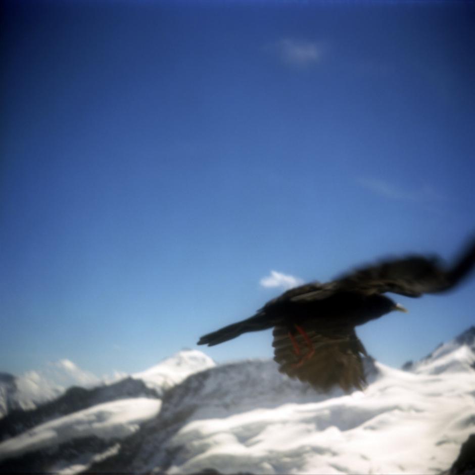 Switzerland, Wengen, 2010 - From the series "A contretemps".