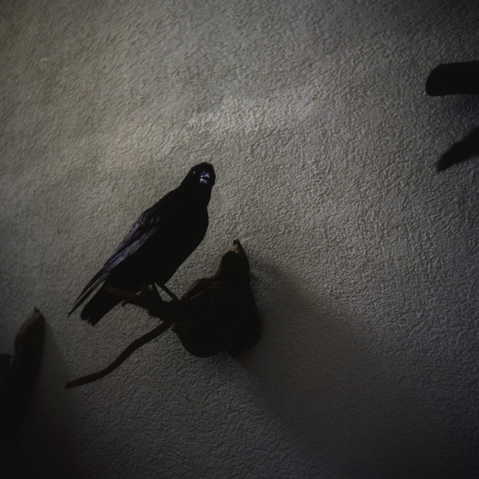 Germany, Cochem, 2010 - From the series "A contretemps".