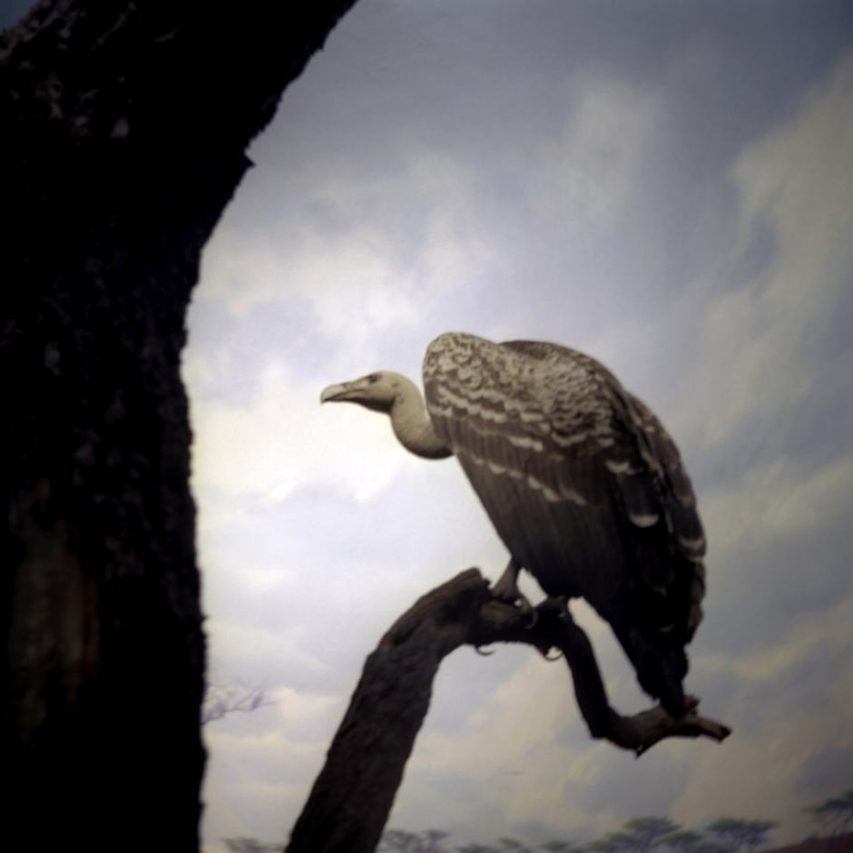 USA, New York, 2006 - From the series "A contretemps".