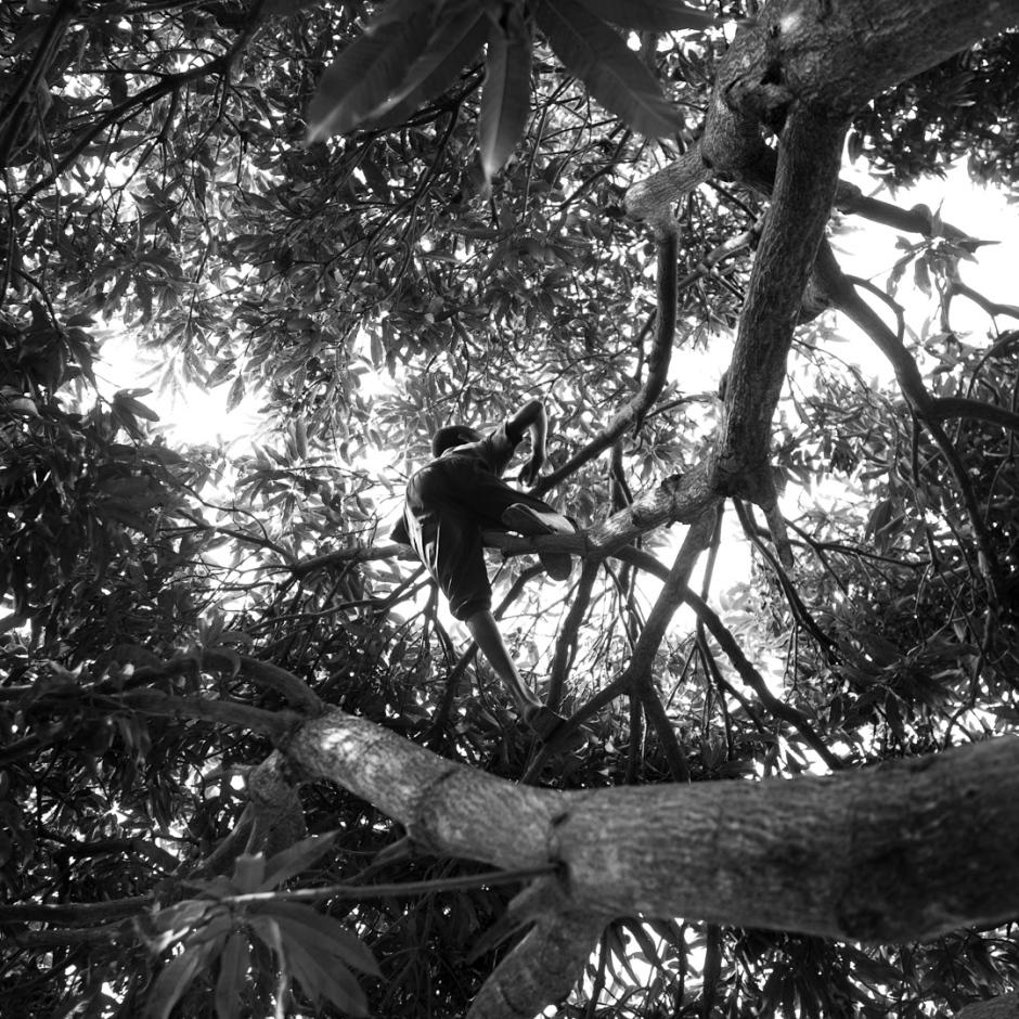 Burundi, Bujumbura, Buterere, November 2011Mango trees.Nowa Havyarimana, 15 years old, is climbing a tree to grab some fruits to eat.He lives with his father and brothers in the IDP camp of Sabe. When his mother died, he had to stop going to school. Since then, he helps his father by selling the metal scraps he finds in the streets. In spite of everything, he wants to go back to school. Burundi, Bujumbura, Buterere, Bois de manguiers, novembre 2011Bois de manguiers. Nowa Havyarimana, 15 ans, grimpe en haut d'un manguier pour chercher des fruits.Il vit avec son pËre et ses frËres dans le camp de deplacÈs de Sabe. Lorsque sa mËre est dÈcÈdÈe, Il a d˚ arrÍter d'aller ‡ l'Ècole.Depuis, il aide son pËre en revendant les dechets mÈtalliques qu'il trouve dans la rue. MalgrÈ tout, il voudrait continuer ‡ Ètudier.Martina Bacigalupo / Agence VU