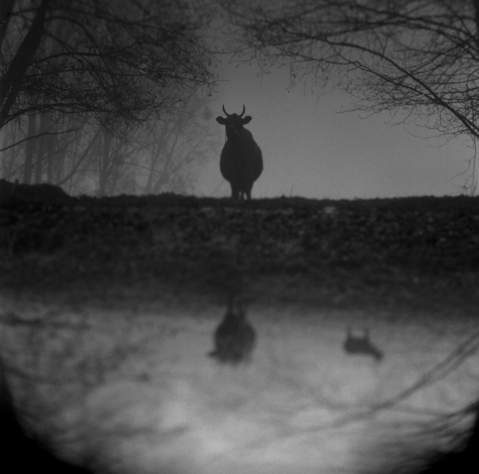 France,VitrÈ, 2012From the series Atlas.France, VitrÈ, 2012Issu de la sÈrie Atlas.Israel AriÒo / Agence VU