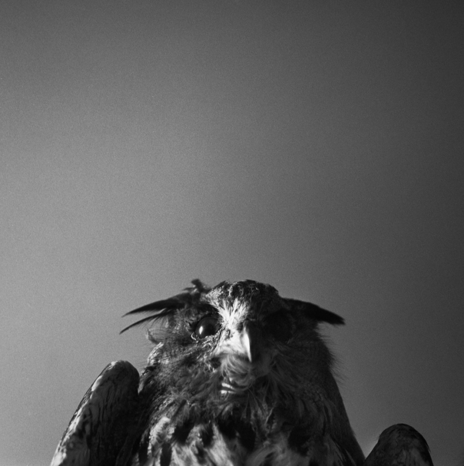 France, Banyuls, 2012From the series Atlas.France, Banyuls, 2012Issu de la sÈrie Atlas.Israel AriÒo / Agence VU