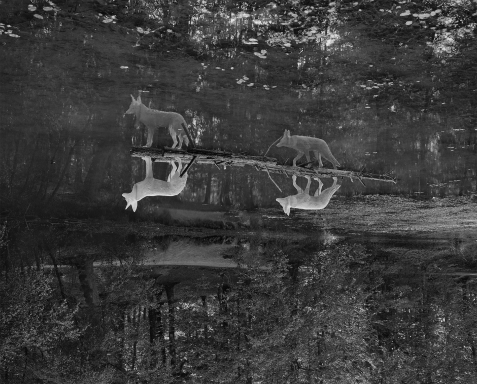 France, Tremelin's lake, 2012From the series Terra Incognita.France, lac de Tremelin, 2012Issu de la sÈrie Terra Incognita.Israel AriÒo / Agence Vu