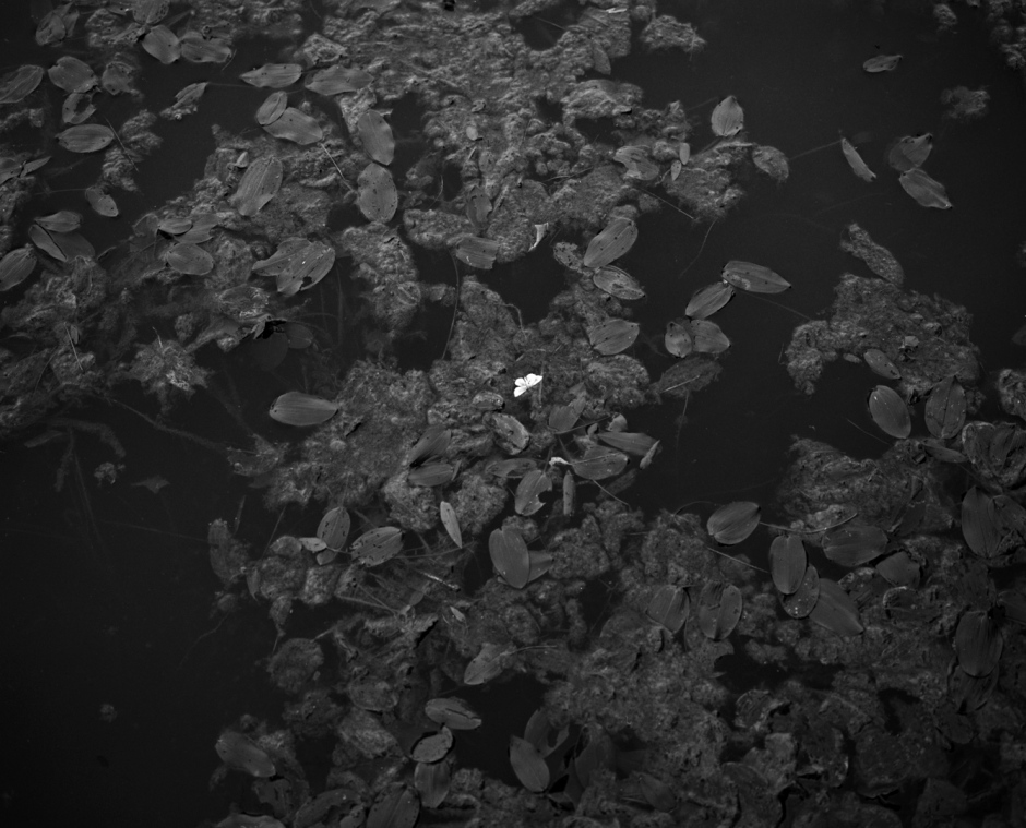 France, Tremelin's lake, 2012From the series Terra Incognita.France, lac de Tremelin, 2012Issu de la sÈrie Terra Incognita.Israel AriÒo / Agence Vu