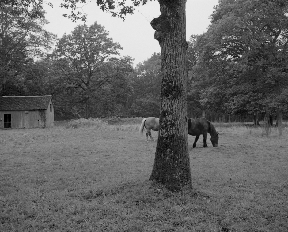 France, Tremelin's lake, 2012From the series Terra Incognita.France, lac de Tremelin, 2012Issu de la sÈrie Terra Incognita.Israel AriÒo / Agence Vu