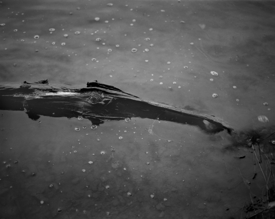 France, Tremelin's lake, 2012From the series Terra Incognita.France, lac de Tremelin, 2012Issu de la sÈrie Terra Incognita.Israel AriÒo / Agence Vu