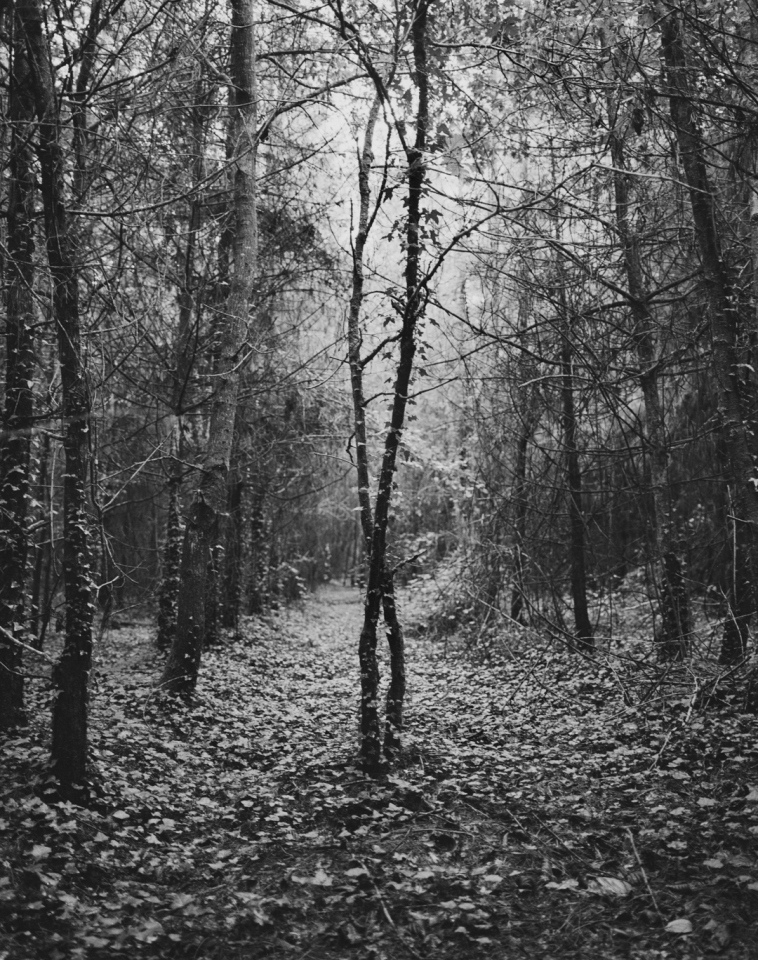 France, Tremelin's lake, 2012From the series Terra Incognita.France, lac de Tremelin, 2012Issu de la sÈrie Terra Incognita.Israel AriÒo / Agence Vu