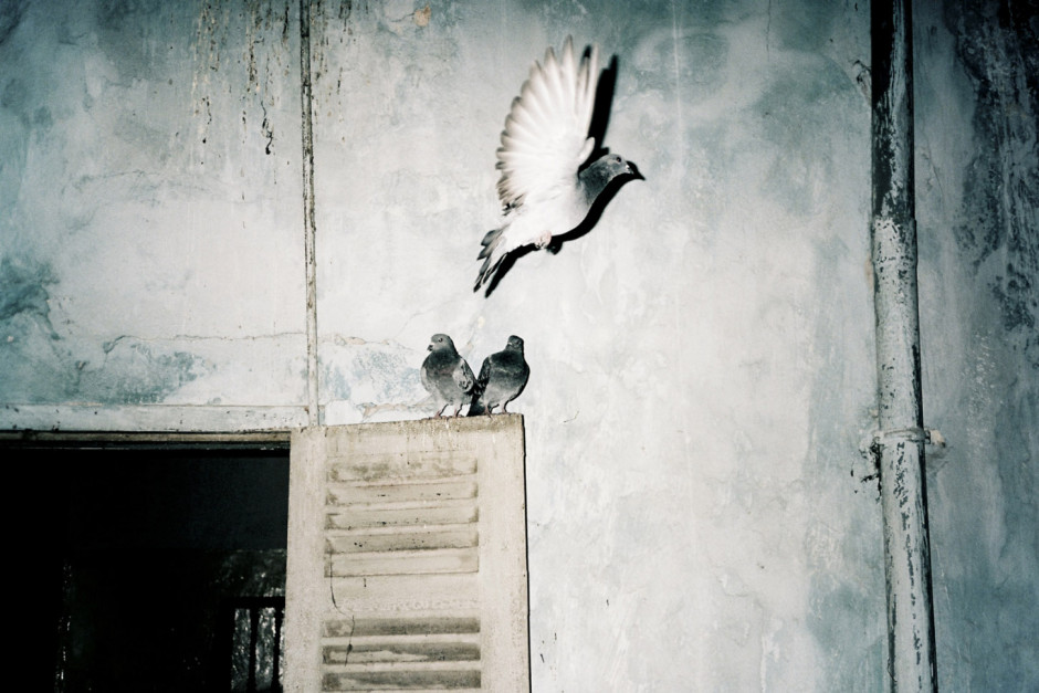 Morocco, Casablanca, 2011