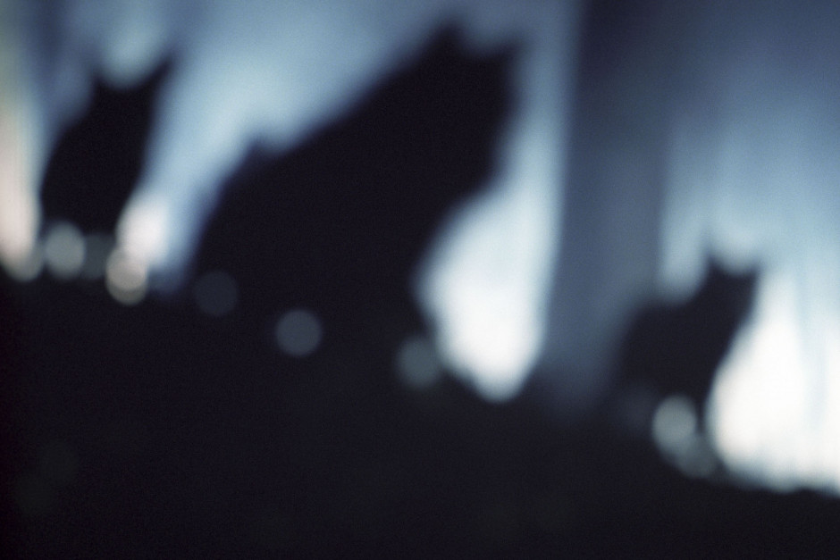 2012From the series "Silenzio".2012Issue de la sÈrie "Silenzio".FranÁois Fontaine / Agence VU