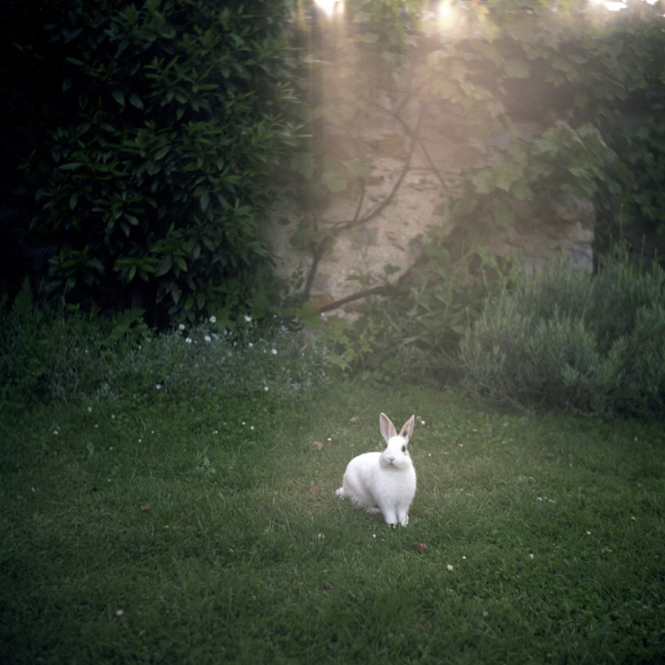 France, Bois le Roi, 2008 - From the series "Le gout des mandarines".