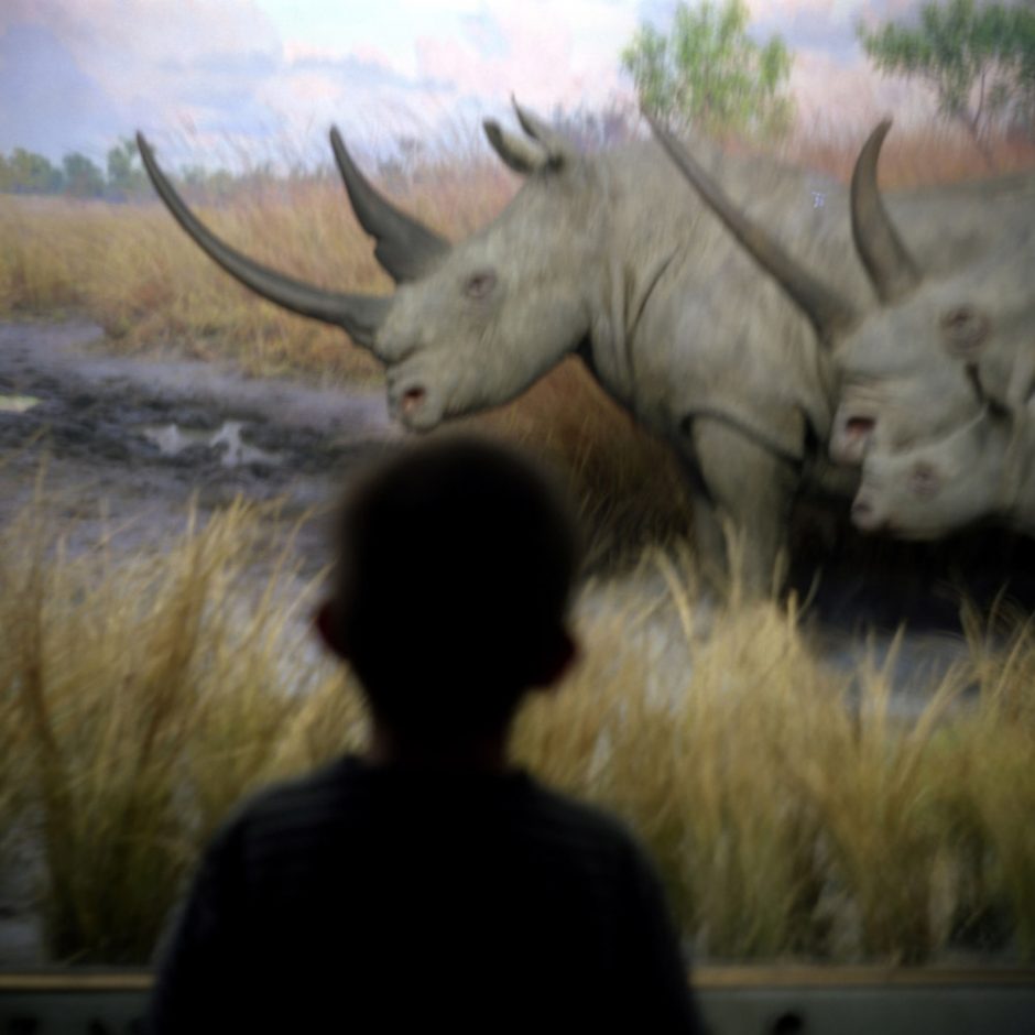 USA, New York, 2006 - From the series "Le gout des mandarines".